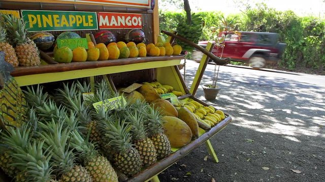 A roadside stand along the Hana Highway on the road to Hana on Maui filled with colorful fresh fruit like papaya and pineapples with cars driving by.