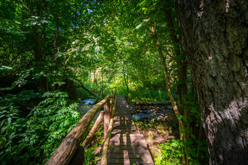 old wooden bridge