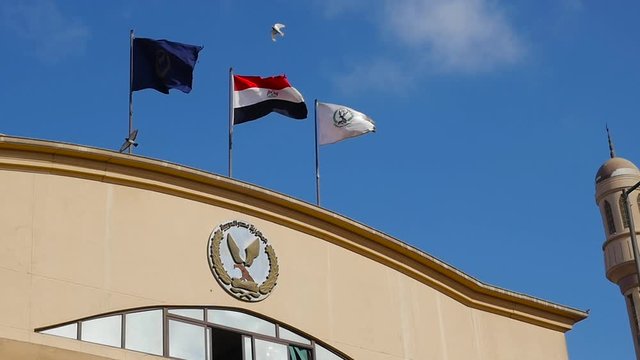 flag of Egypt in Cairo