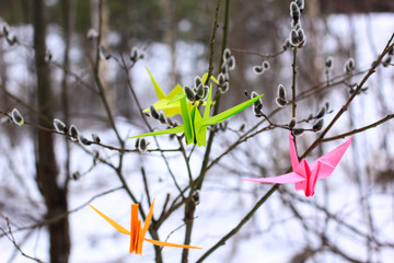 Bright multicolored origami paper cranes on the branches of a willow with buds. The concept of hope, faith, happiness, peace after coronavirus epidemic, covid-19 pandemic. Spring, summer is coming.