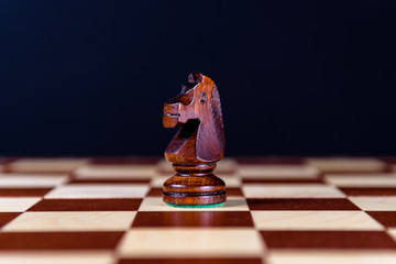 black chess knight © Chabanenko Maksim
