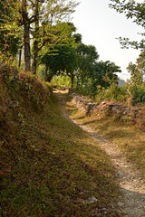 Village Path
