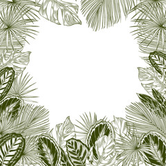 Green tropical leaves and branches.