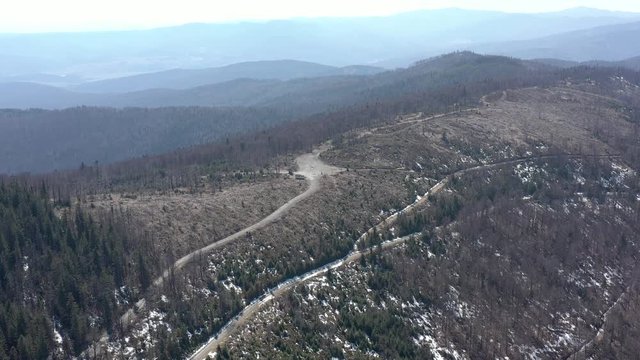 Aerial view of tree felling in Kojsovska hola in Slovakia