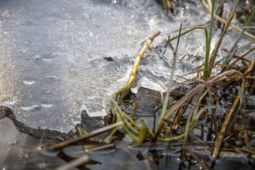 Thin spring ice on the lake