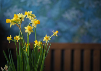 Obraz premium beautiful spring flowers at home