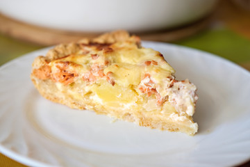 step by step visual instruction, how to prepare salmon quiche tart. Homemade quiche with salmon and cheese. step 7, ready piece of pie served