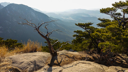 seoul korea landschaft berg aussicht