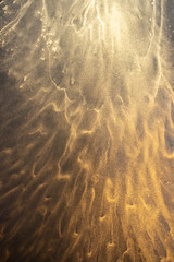 Alcohol ink. Artistic bright splash. Liquid artwork.  Abstract ethereal swirl. Contemporary art. Abstract art background. Multicolored bright texture. Colorful luxury texture. 