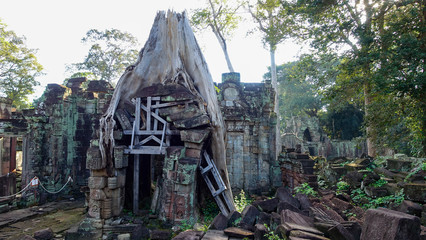 tempel ankor wat