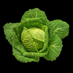 Head of savoy cabbage on a black background, isolated