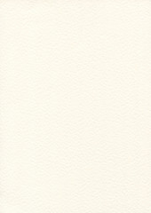 Paper Texture 