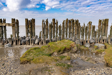fence at the coast