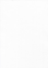 Paper Texture White