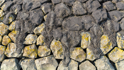 stone wall texture