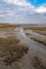 beach and sea