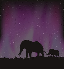 Design of elephants walking in the night