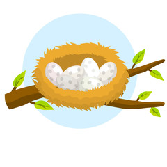 Nest and egg. Bird house. Place for Chicks. Tree branch with leaves. Cartoon flat illustration. element of nature and forests. Wildlife. Blue background