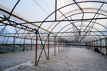 Greenhouse interior without any plants. Young plants covered with white fabric tissue on the ground. Turkey.