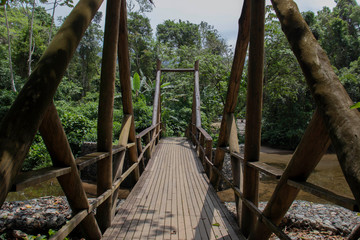 Bridge over the river in the middle of the forest