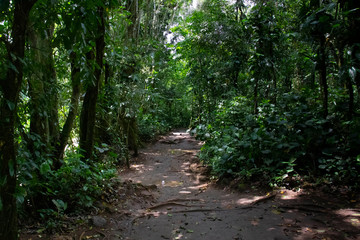 Fototapeta na wymiar Ecotourism trail in the Brazilian rainforest