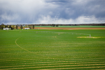 Landscape of Farmland with Storm Approaching