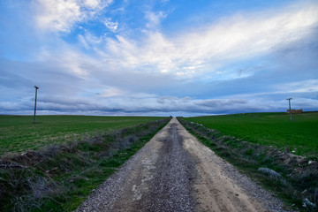 Fototapeta premium deserted road to the end of the world