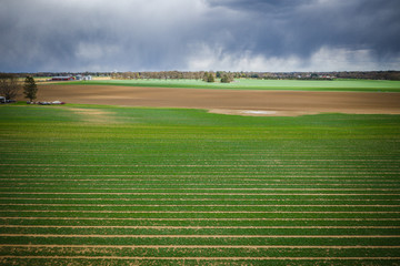Landscape of Farmland with Storm Approaching