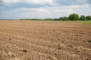 Closeup of the furrows of the recently plowed agricultural field against the background of green trees and a cloudy sky. Collective farmers waiting for the appearance of young sprouts of potatoes.