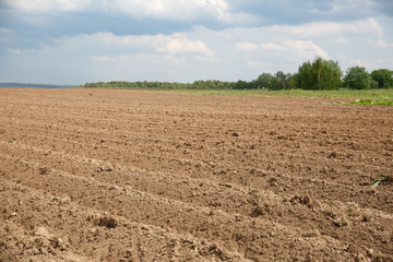 Closeup of the furrows of the recently plowed agricultural field against the background of green...