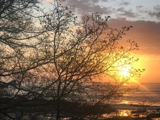 Fototapeta na wymiar sunset over the beach in Nosara Costa Rica
