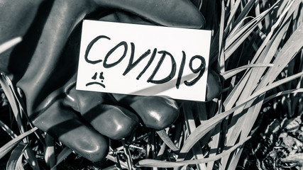Covid19 words on white card holding in red glove hand on grass background. Quarantine prevention risk safety stay info. Black and white colored