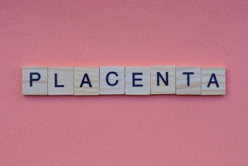 word placenta from small gray wooden letters lies on a red background