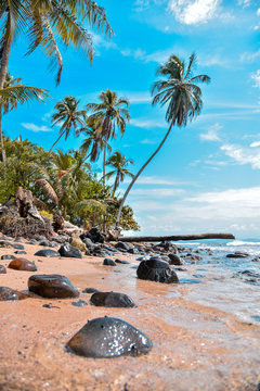 Panama Paradise - Bocas del toro