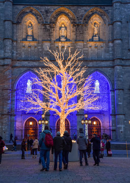 Montreal beauty