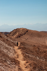 nel mezzo delle dune