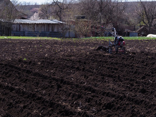 The farmer cultivates the soil using a tillage tractor or rototiller. The farmer working with the...