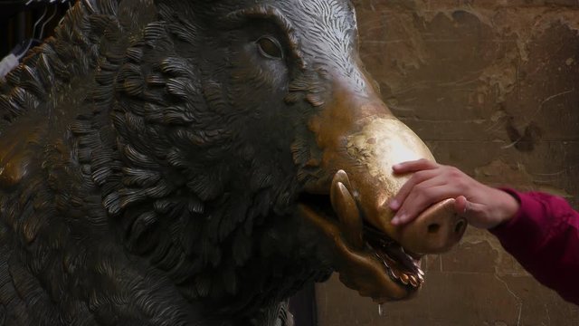 Boar Market in Florence, Italy. The girl strokes the nose of sculpture of a wild boar for good luck.