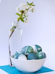 Blue, green, turquoise and white homemade easter eggs colored with a red cabbage natural colour on a white background with blank space decorated with spring flowers in a white bowl closeup.