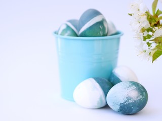 Blue, green, turquoise and white homemade easter eggs colored with a red cabbage natural colour on a white background with blank space decorated with spring flowers in a light blue bucket closeup.