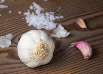 Head of white garlic