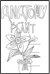 hand drawn flowers, anatomy of a plant coloring book page