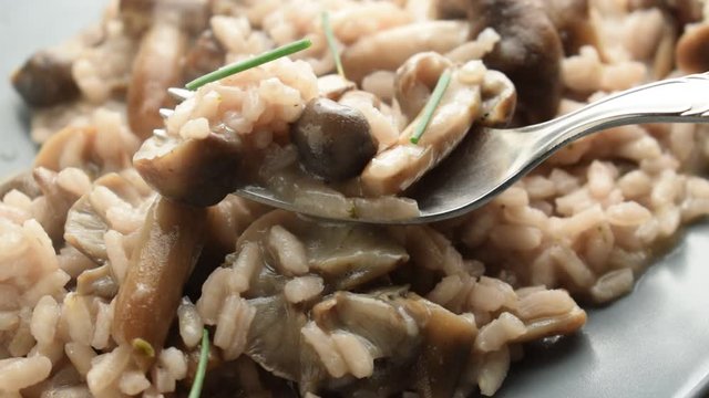 Risotto ai funghi chiodini ft9110_0189 Risotto with honey fungus