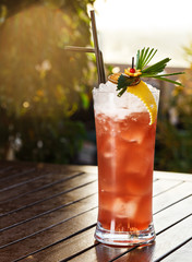 Refreshing peach mocktails with ice cubes perfect for outdoor event. Fancy beverage decoration with crafted leaf, lemon sliced and orange zest. Garden view beverage photography.