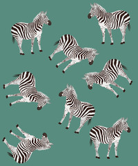 Fototapeta na wymiar zebras and zebra pattern 