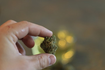 single bud of marijuana