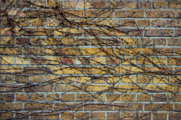 Mauer Mauerwerk Hintergrund Holz Backstein