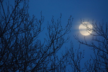 Supermoon pink full moon 8 April 2020 in France. It occurs when the full moon is at its closest...