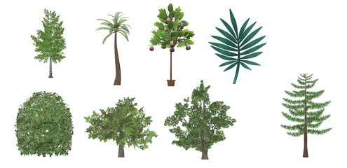 pictures of trees and green plants