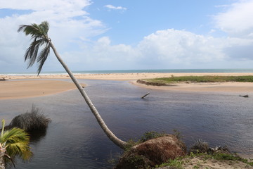 Coco e rio